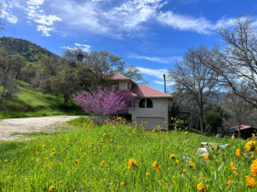 Hillside Hideaway